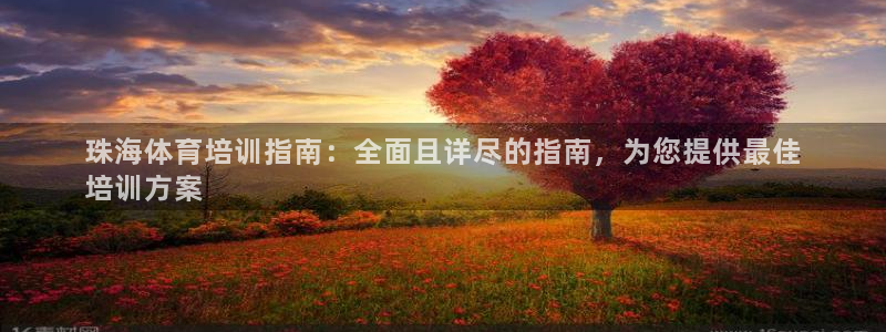 极悦官网旗舰店：珠海体育培训指南：全面且详尽的指南，