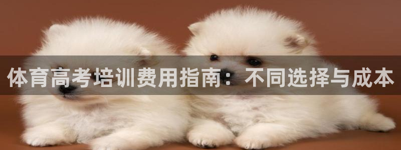 极悦平台注册失败如何解决呢：体育高考培训费用指南：不