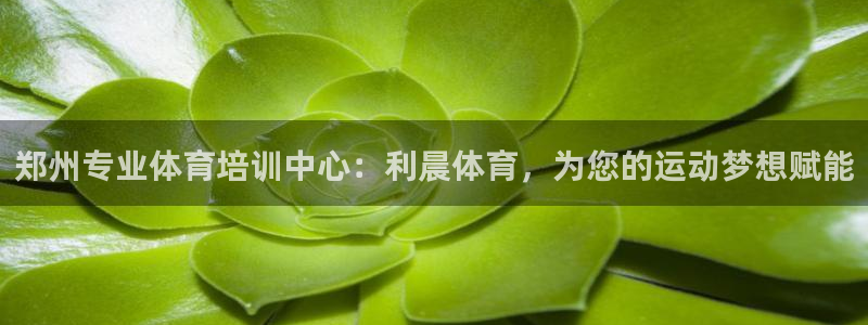 极悦平台和蓝狮平台区别大吗：郑州专业体育培训中心：利