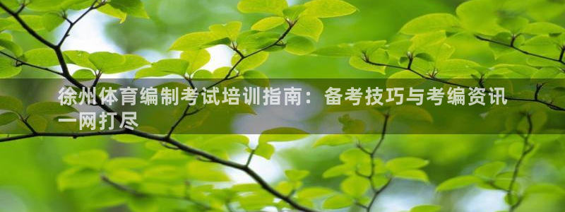 极悦娱乐挂机赚钱是真的吗安全吗