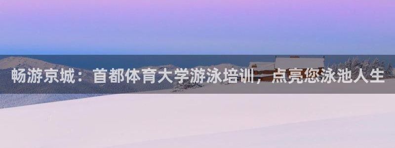极悦平台用户评价与反馈