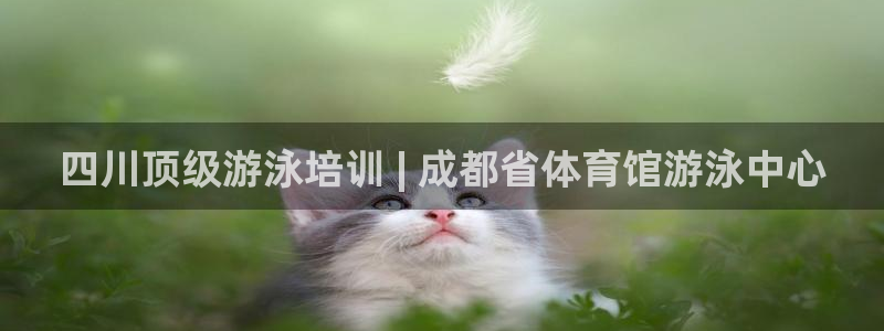 极悦平台是干什么的啊：四川顶级游泳培训 | 成都省体