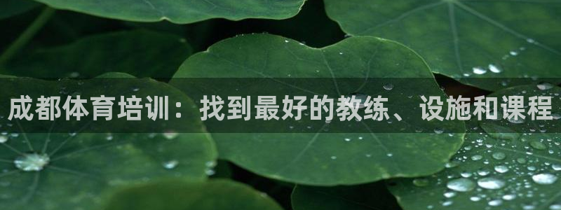 极悦平台用户评价与反馈在哪里：成都体育培训：找到最好