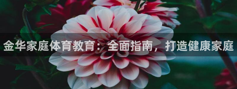 极悦官方网站入口网址大全：金华家庭体育教育：全面指南