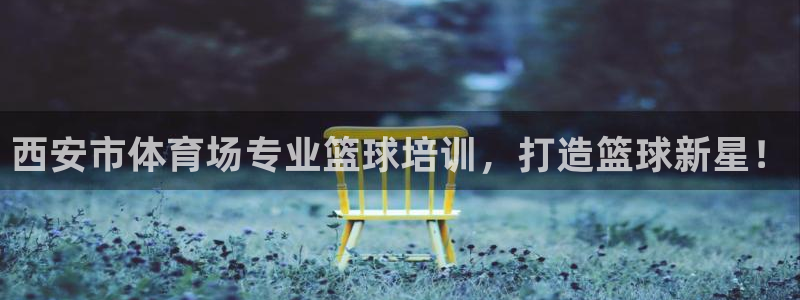 极悦平台官网下载中心：西安市体育场专业篮球培训，打造