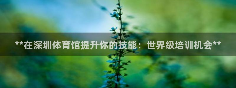 极悦平台登录方式怎么改：**在深圳体育馆提升你的技能