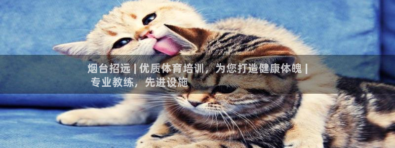 极悦平台决7O777：烟台招远 | 优质体育培训，为