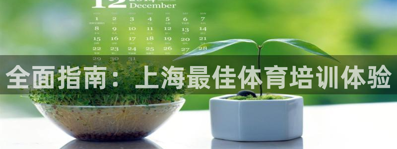 极悦平台注册官方网站下载：全面指南：上海最佳体育培训