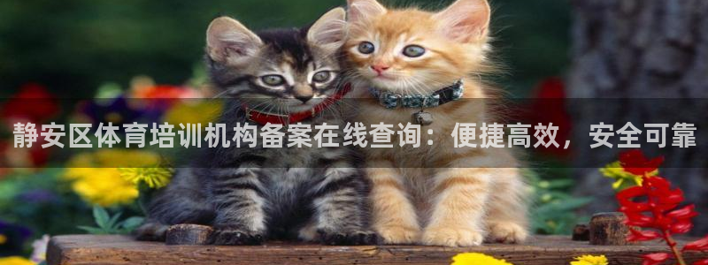 极悦平台注册登录入口在哪：静安区体育培训机构备案在线