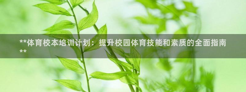 极悦娱乐官网入口：**体育校本培训计划：提升校园体育