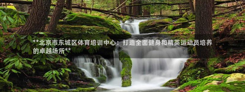 极悦平台注册流程详解图：**北京市东城区体育培训中心