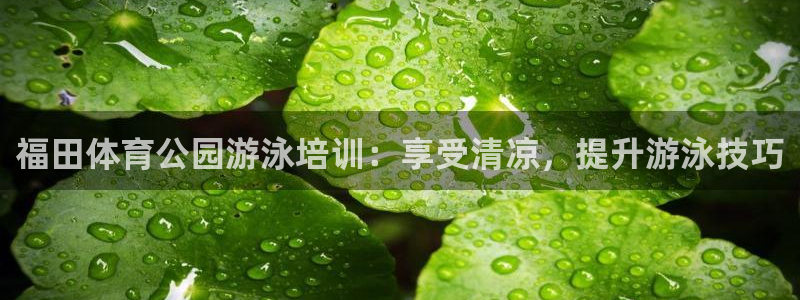 极悦官方网站入口网址大全：福田体育公园游泳培训：享受