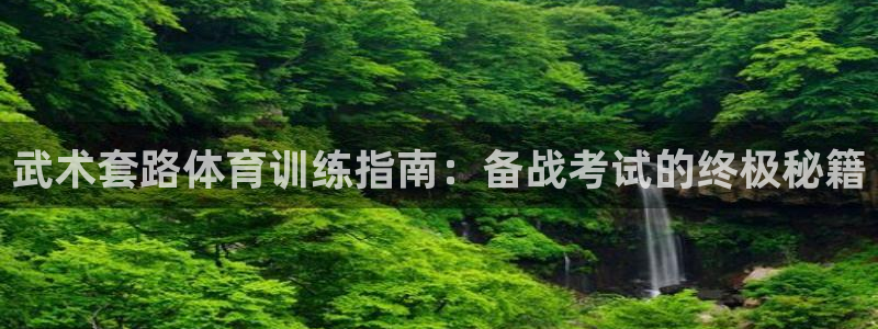极悦娱乐代理人是谁呀：武术套路体育训练指南：备战考试