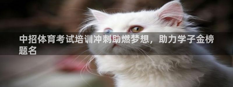 极悦平台客服投诉电话是多少号：中招体育考试培训冲刺助