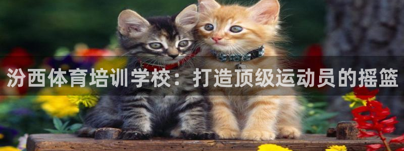极悦平台官网登录网址查询：汾西体育培训学校：打造顶级
