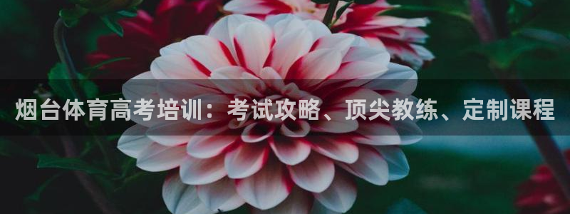 极悦平台用户反馈和反馈：烟台体育高考培训：考试攻略、