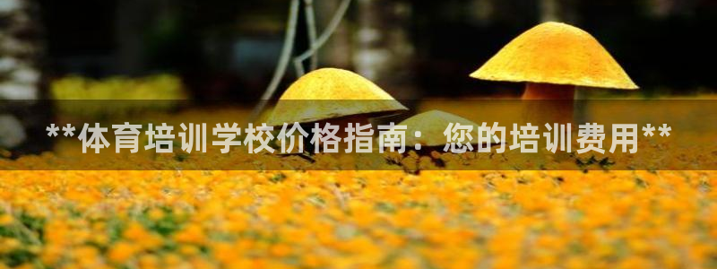 极悦牙膏怎么样：**体育培训学校价格指南：您的培训费