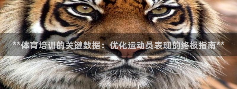 极悦平台官方网站：**体育培训的关键数据：优化运动员