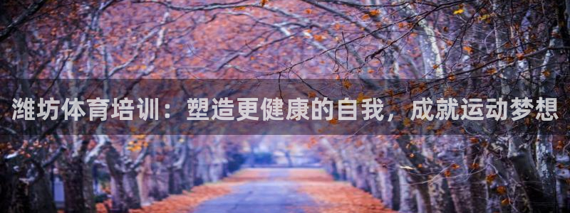 极悦平台德711.112的更新内容：潍坊体育培训：塑