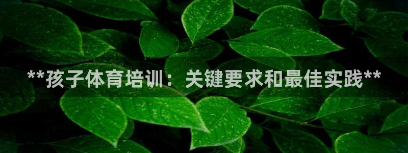 极悦平台官网登录网址查询：**孩子体育培训：关键要求