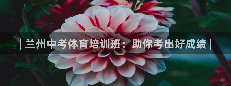 极悦娱乐德711.112扣费说明：| 兰州中考体育培
