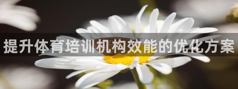 极悦平台是正规平台吗安全吗可靠吗：提升体育培训机构效