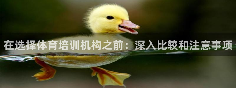 极悦娱乐创始人背景故事是什么：在选择体育培训机构之前