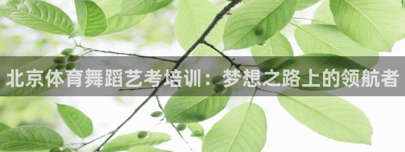 极悦平台有风险吗：北京体育舞蹈艺考培训：梦想之路上的