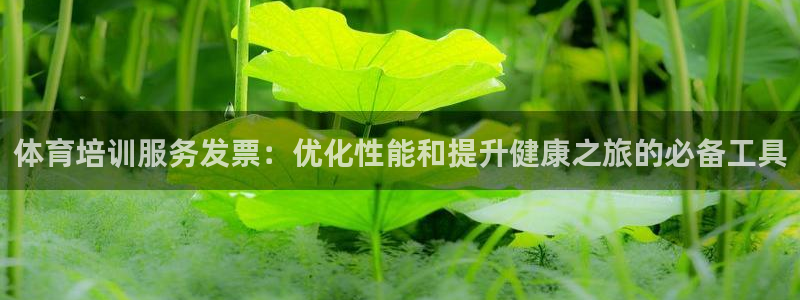 极悦平台官网登录网址是多少：体育培训服务发票：优化性