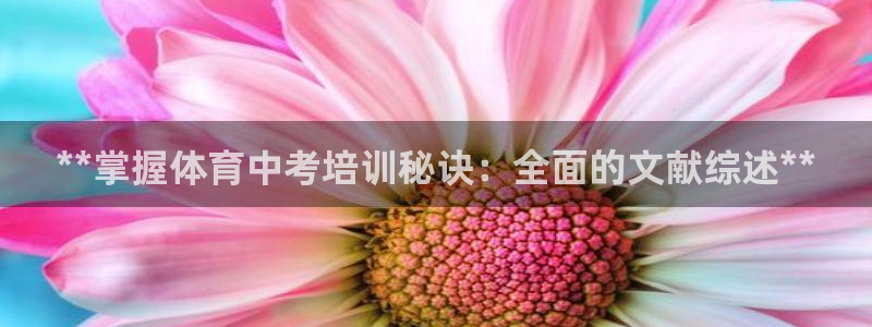 极悦平台代理怎么做的：**掌握体育中考培训秘诀：全面