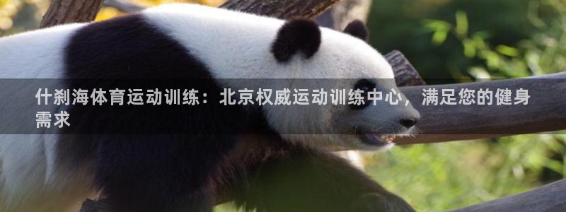 极悦平台app安全吗是真的吗：什刹海体育运动训练：北