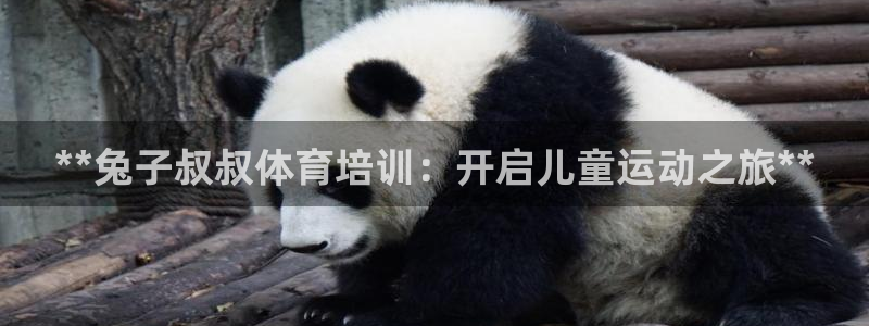 极悦平台是正规平台吗知乎：**兔子叔叔体育培训：开启