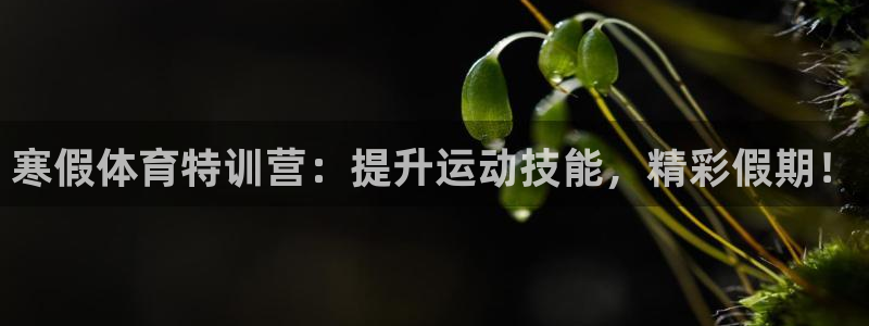极悦官网旗舰店：寒假体育特训营：提升运动技能，精彩假