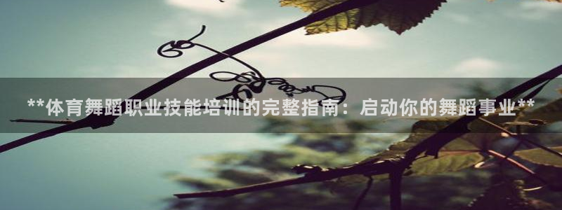 极悦娱乐官网最新版本更新内容是什么：**体育舞蹈职业