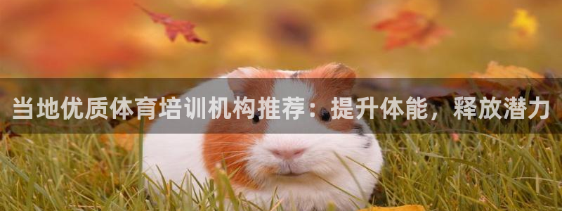 极悦娱乐代理怎么样啊：当地优质体育培训机构推荐：提升