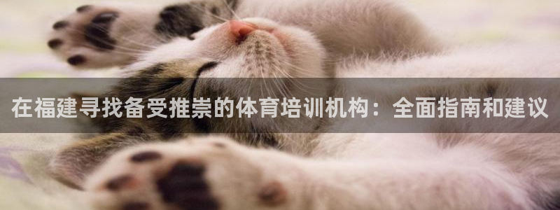 极悦平台有风险吗：在福建寻找备受推崇的体育培训机构：