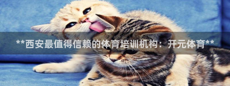 极悦平台官网入口网址：**西安最值得信赖的体育培训机