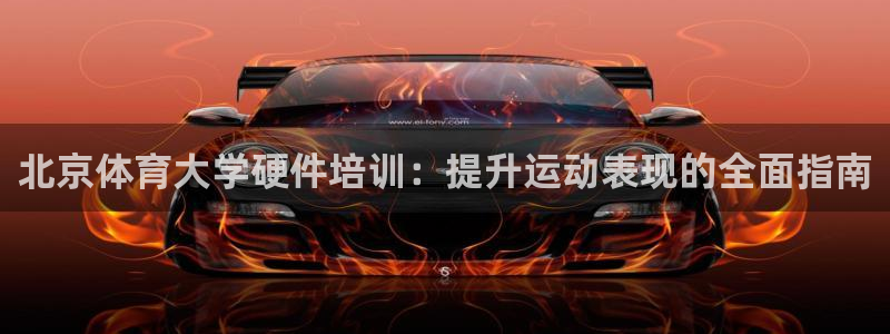 极悦平台注册和登录页面：北京体育大学硬件培训：提升运