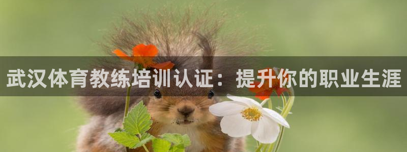 极悦官方网站：武汉体育教练培训认证：提升你的职业生涯