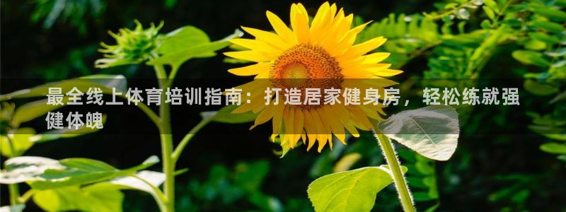 极悦平台注册流程：最全线上体育培训指南：打造居家健身