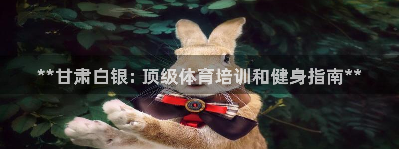 加盟极悦教育要多少钱：**甘肃白银: 顶级体育培训和