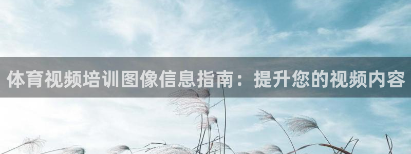 极悦平台代理怎么样啊：体育视频培训图像信息指南：提升