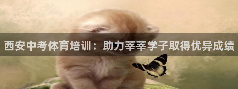 极悦娱乐挂机赚钱是真的吗知乎：西安中考体育培训：助力