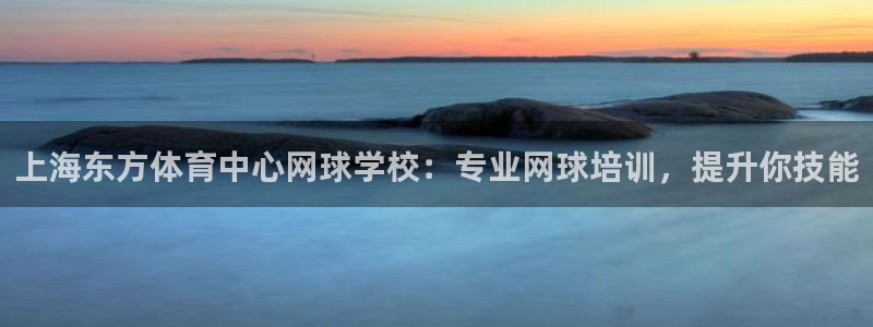 极悦娱乐创始人背景故事：上海东方体育中心网球学校：专
