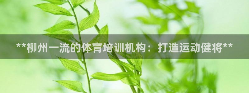 极悦娱乐登录网站每天的工作内容：**柳州一流的体育培