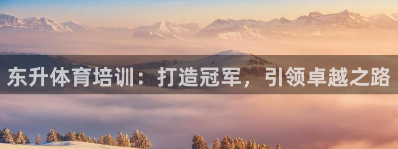 极悦官网旗舰店是正品吗：东升体育培训：打造冠军，引领