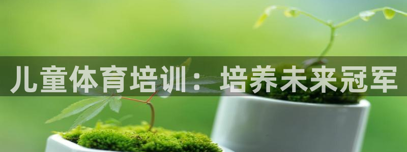 极悦娱乐代理人是谁呀：儿童体育培训：培养未来冠军