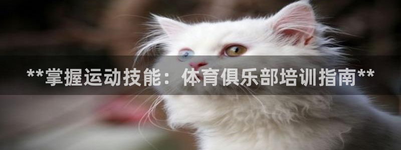 极悦官方网站入口网址：**掌握运动技能：体育俱乐部培