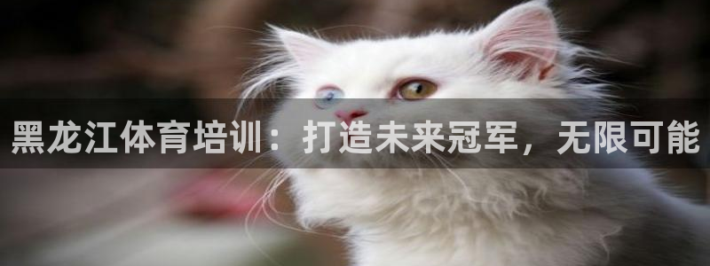 极悦娱乐股东结构：黑龙江体育培训：打造未来冠军，无限