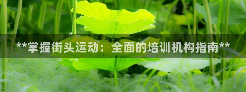 极悦平台使用注意事项：**掌握街头运动：全面的培训机